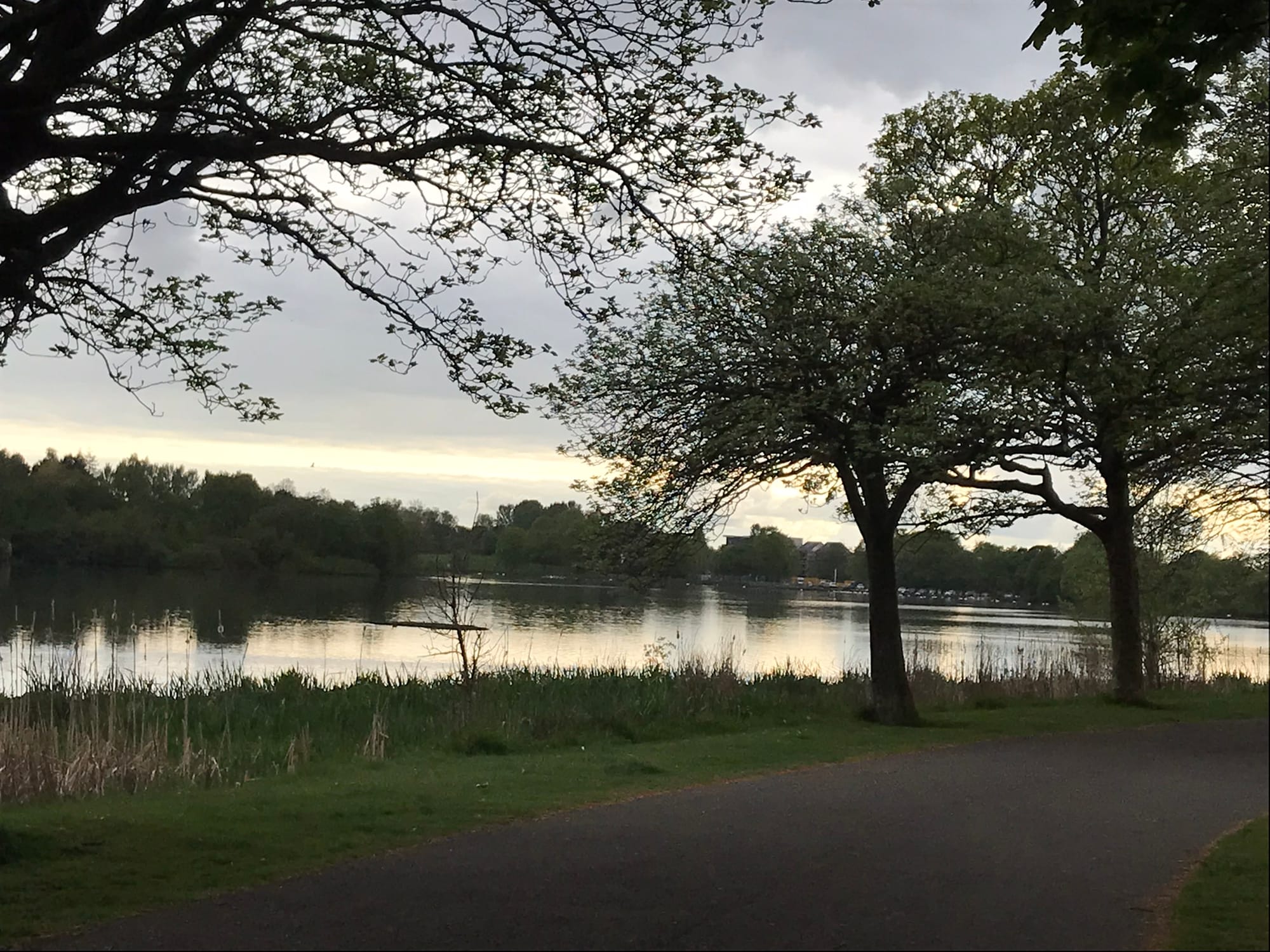 Hogganfield Loch